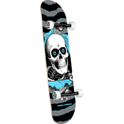 Powell Peralta skateboard complet 7.75 X 31.08 Ripper Silver Lt Blue