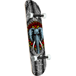 Powell Peralta skateboard complet 8.0 X 31.45 Vallely Elephant White