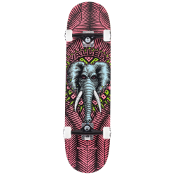 Powell Peralta skateboard complet 8.25 X 31.95 Vallely Elephant Pink