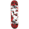 DGK skateboard complet 7.5 Bloom